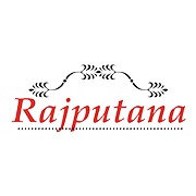 Rajputana Investment and 
