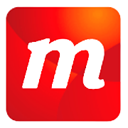 Majestic Research Service