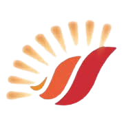 HINDUSTHAN INSULATORS and