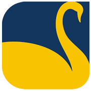 New Swan Multitech Limite