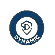DYNAMIC SRVCS & SEC LTD