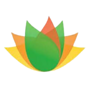 VISHNU CHEMICALS LIMITED