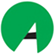 ARYAMAN FINANCIAL SERV L