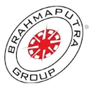 BRAHMAPUTRA INFRA L