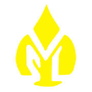 VIJAY SOLVEX LTD.