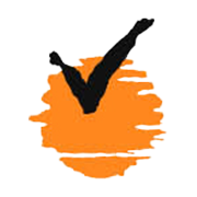 VIRAT INDUSTRIES LTD.