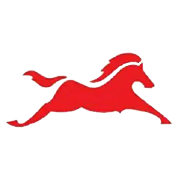 TVS MOTOR COMPANY  LTD
