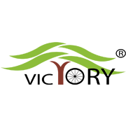 Victory Electric Vehicles International Ltd