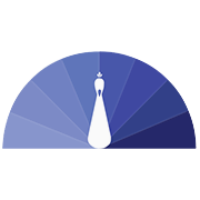 RELIANCE CHEMOTEX IND LTD